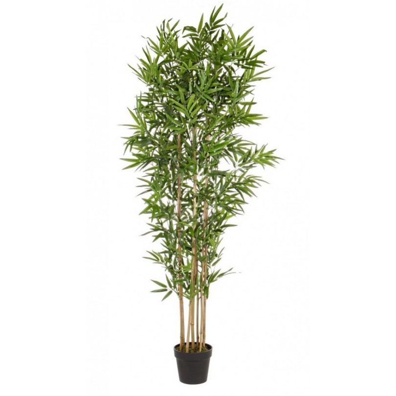 BAMBOO PLANT C-VASE H185CM