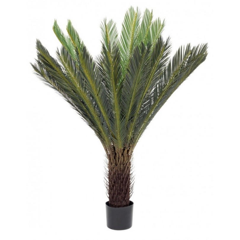 CYCAS PALMENPFLANZE C-VASE 28 BLÄTTER H120